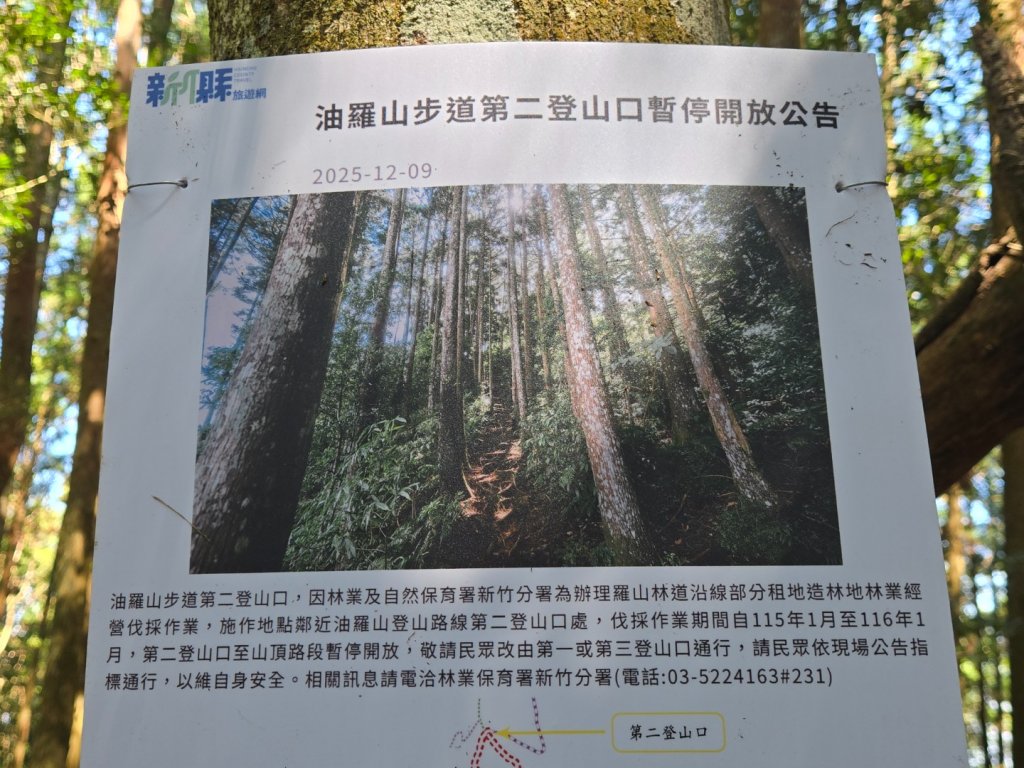 油羅山_3014871
