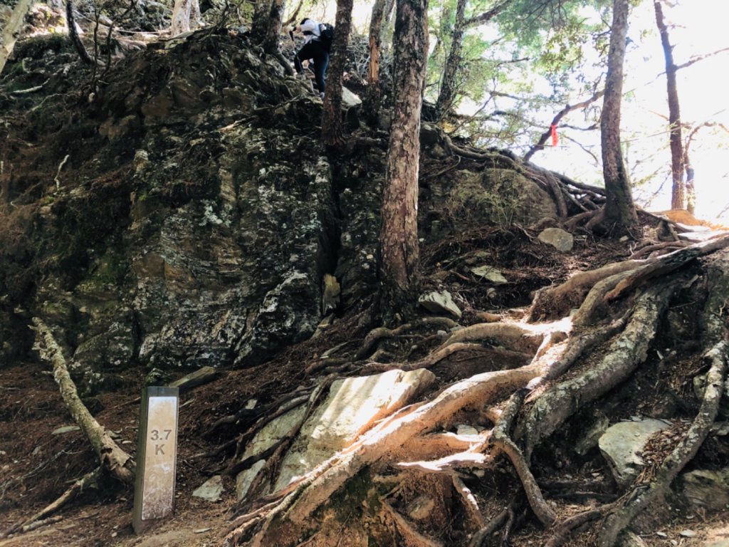 1091002羊頭山_1117419