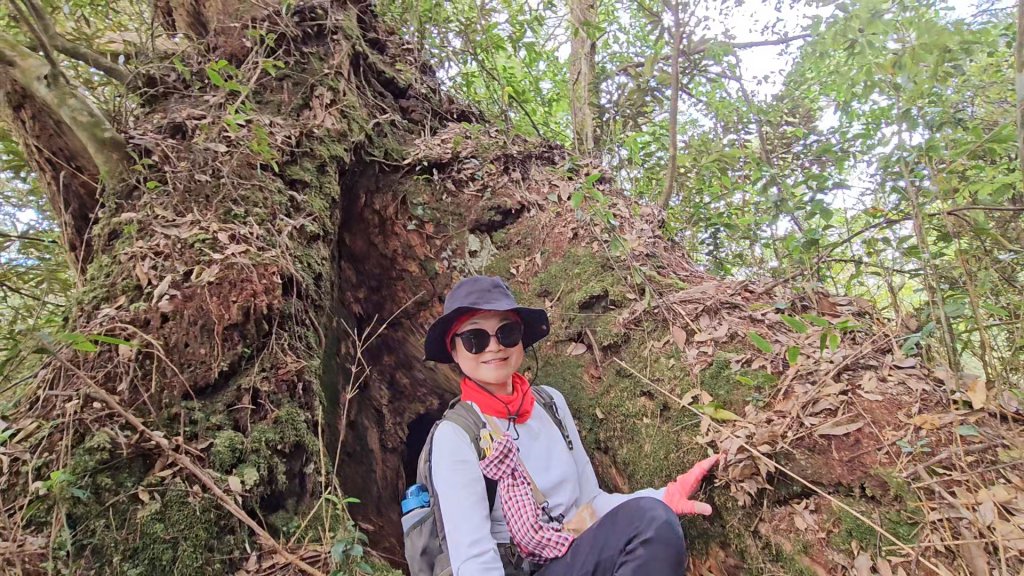 復興三尖之夫婦山_2356668