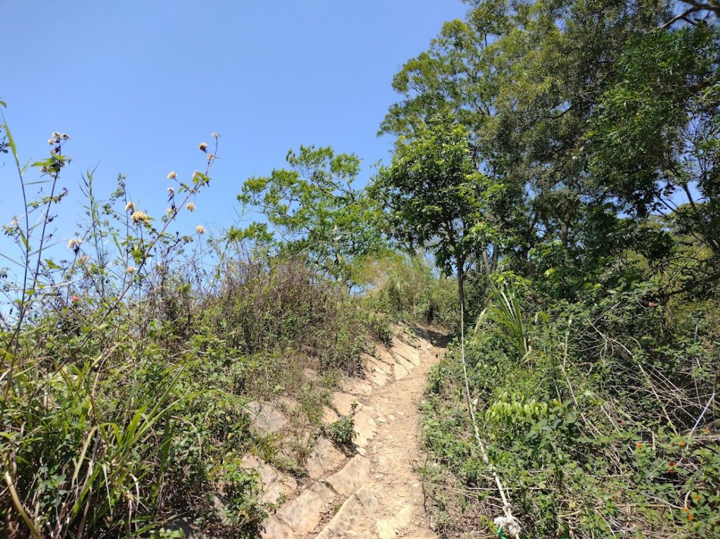 2022 4/5 刣牛湖山_1664121