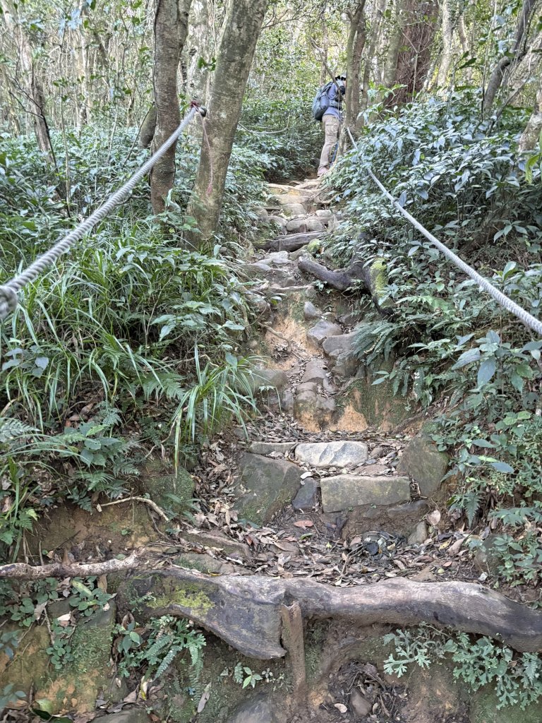 20251213屏東里龍山_2961344