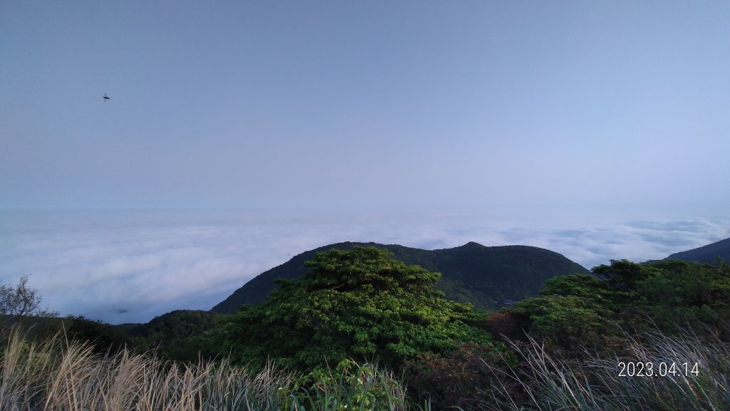 邂逅江湖傳說已久鐘萼木(據說冰河孓遺植物)，再見差強人意的月光/日出雲海_2112418