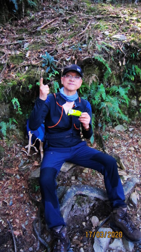 八仙山+佳保台山 ~ 挑戰雄關 辛辣凝香_918555