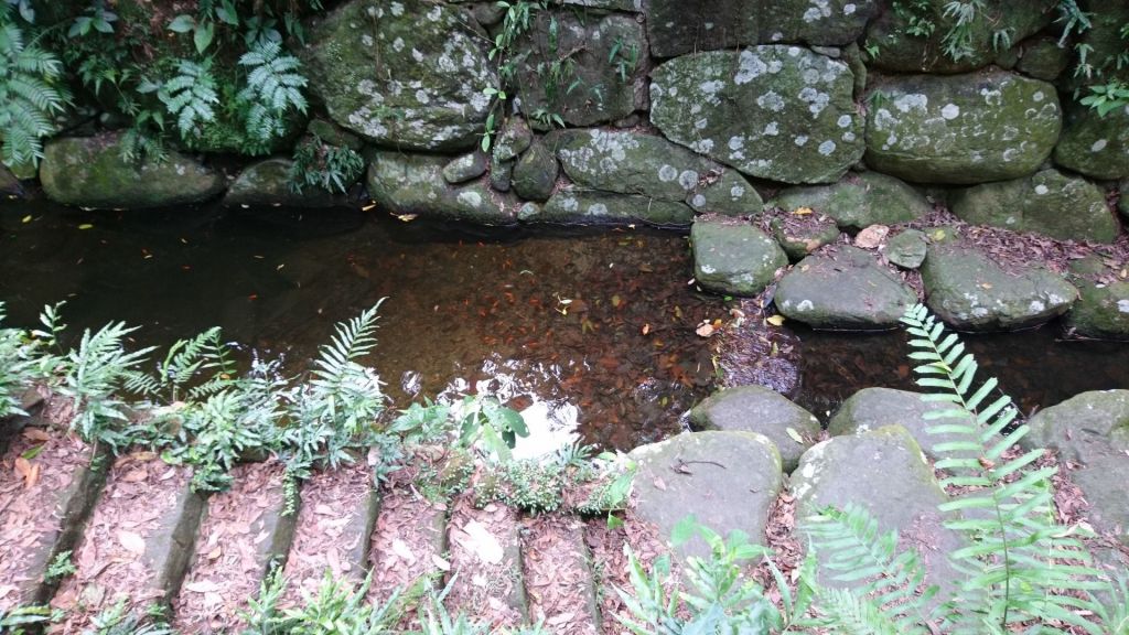 虎山溪+虎山山腰+虎山自然步道_348468