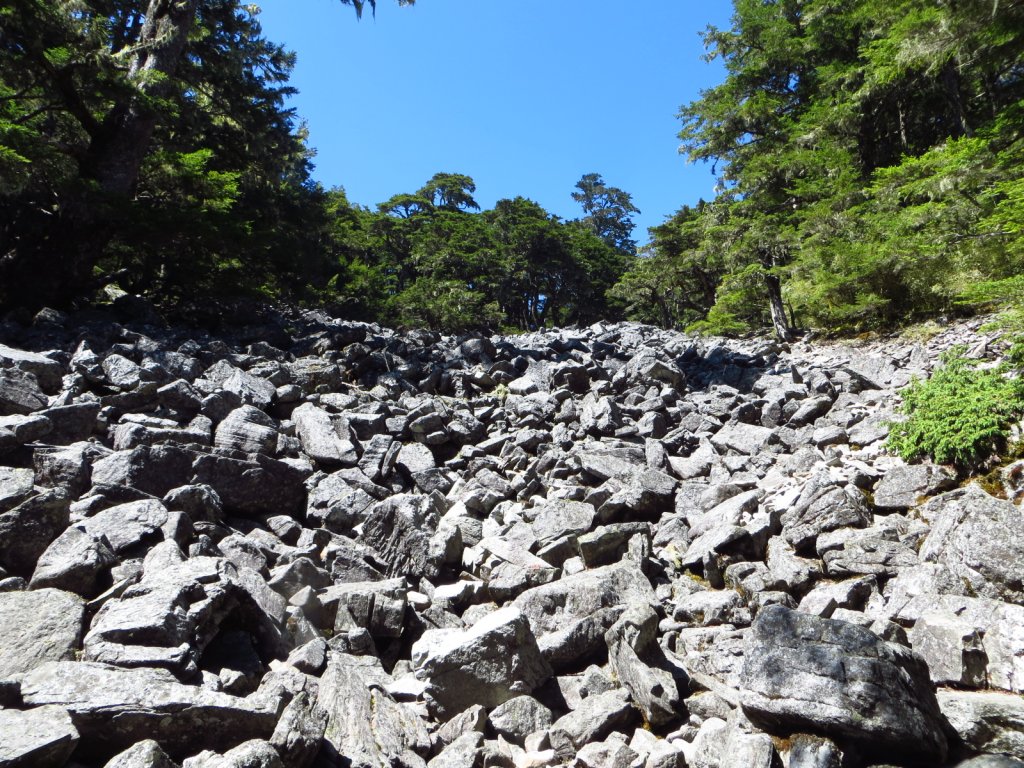 武陵四秀(2015四缺喀_2019喀桃)_689495