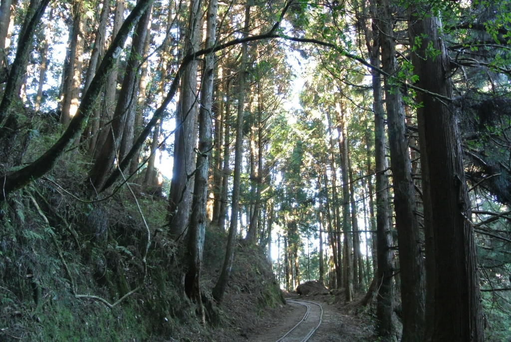 特富野古道+梯子板山_25535