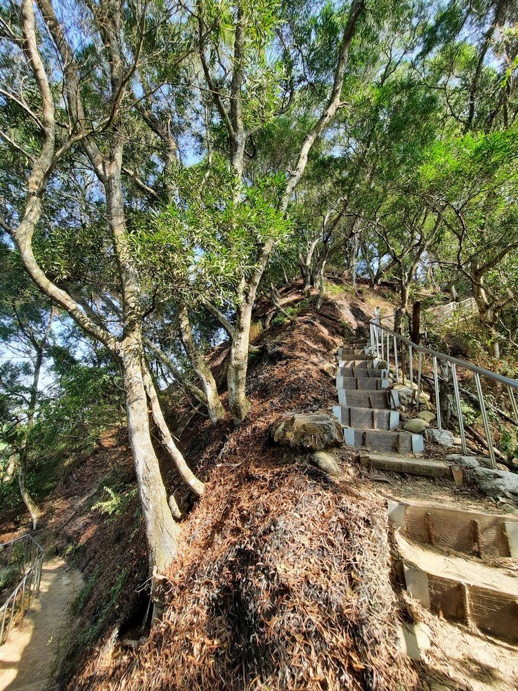 《彰化》田中森林登山步道O型20201122_1179713