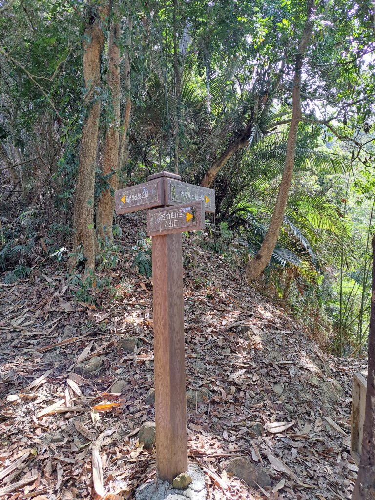 竹山八通關古道社寮段+陳東坑山+溪洲大山ｄ型走20230219_2037427