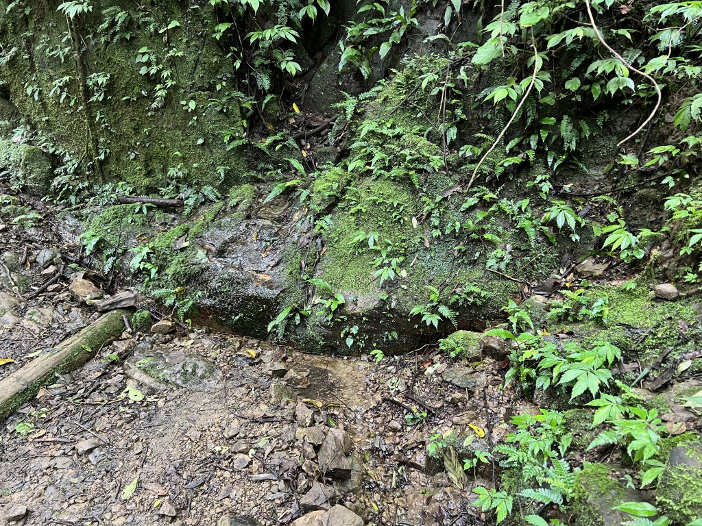 2023-08-13 馬那邦山（馬拉邦山）_2251253