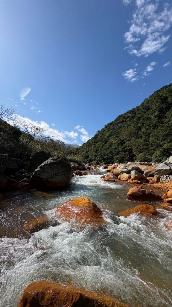 漫遊陽明山_2952056