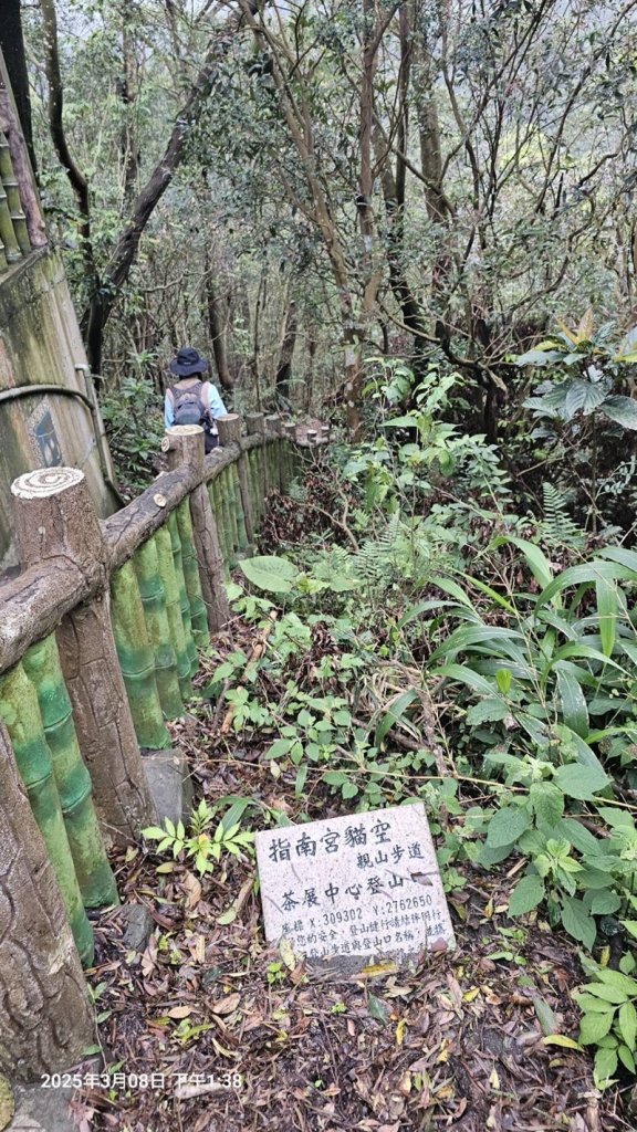 台北大縱走第七段_2733878