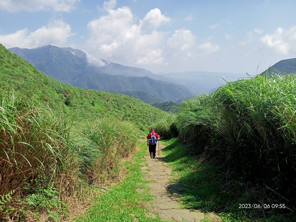 金包里大路(擎天崗至上磺溪停車場段)【走遍陽明山】封面圖