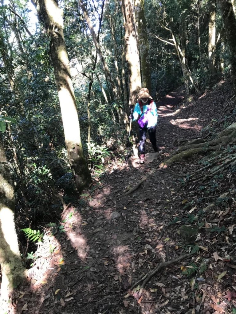 細道邦山 馬那邦山_464809