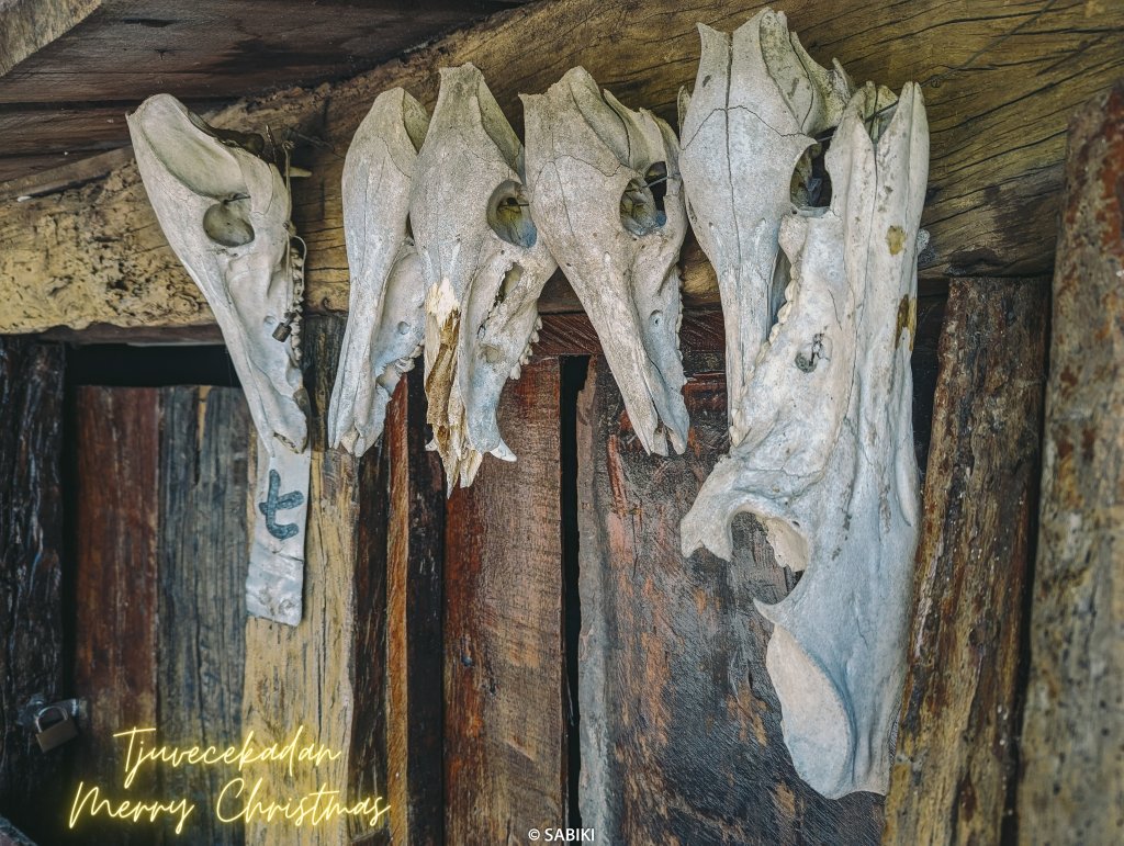 【排灣，Tjuvecekadan】埋藏在綠色叢林中的寶藏- 老七佳_2401187