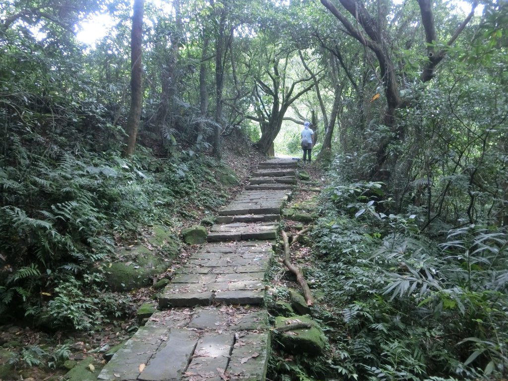 入蘭正道（雙溪至大里段）_594002