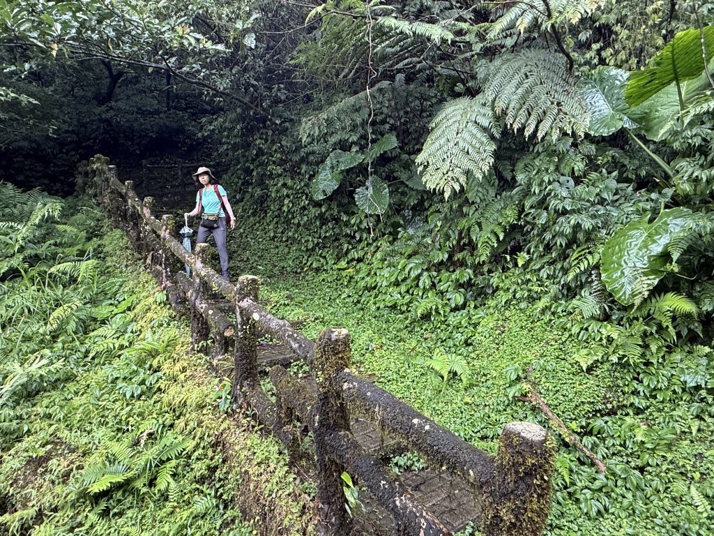 二格山 2025.07.20_2864229