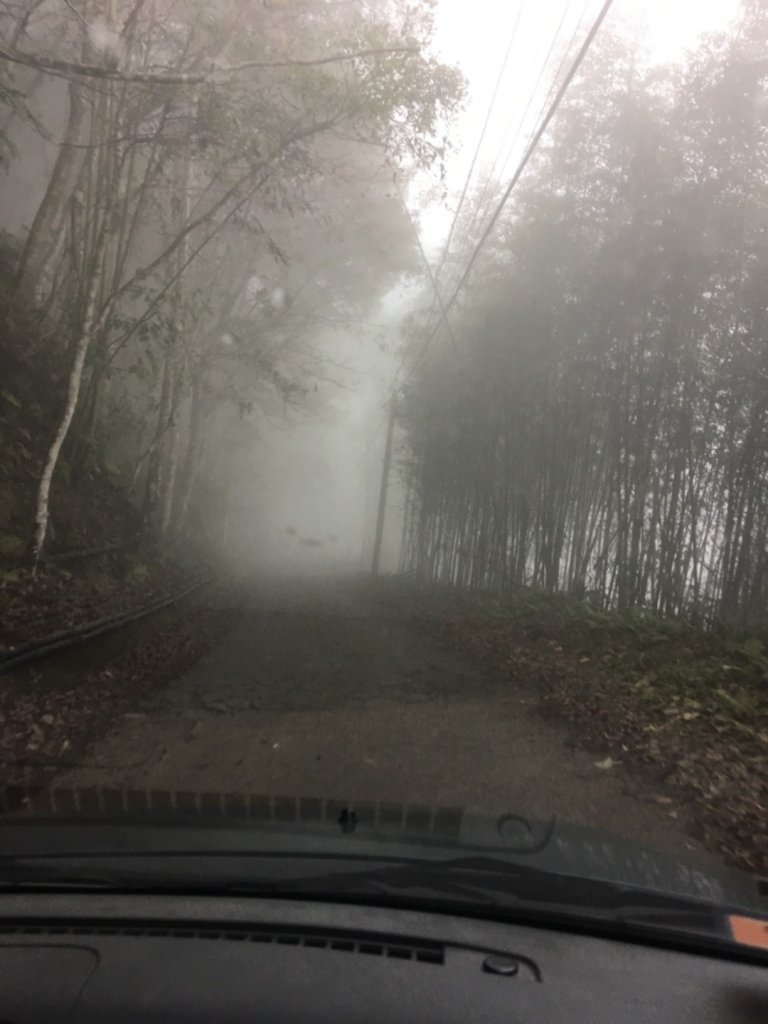 20200208_飛鳳山、油羅山_868178