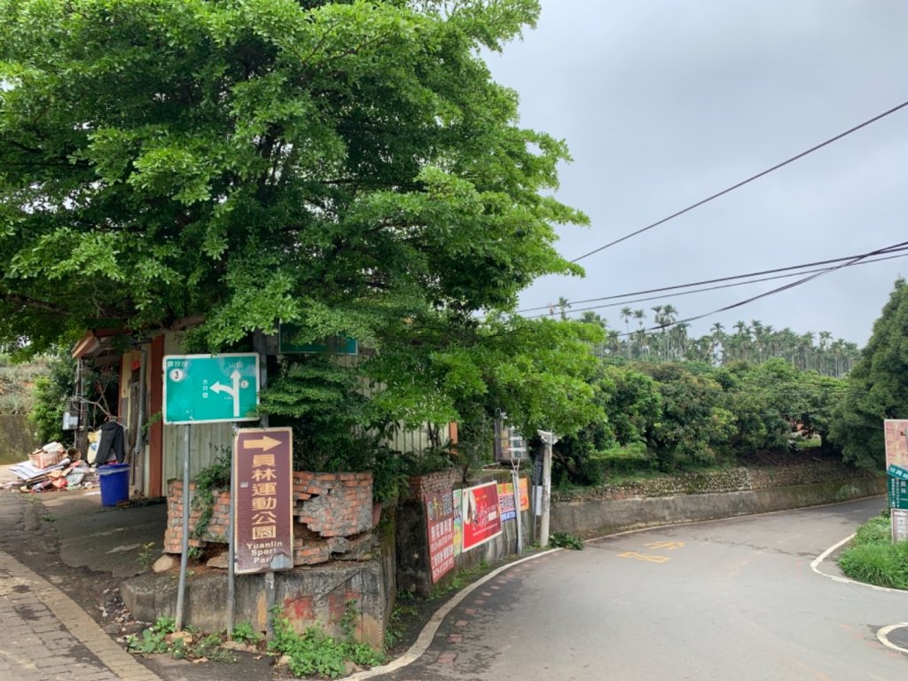 四月雪～桐花盛開～藤山步道_566628