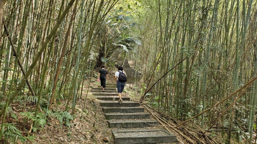 10/4小烏來_1483852