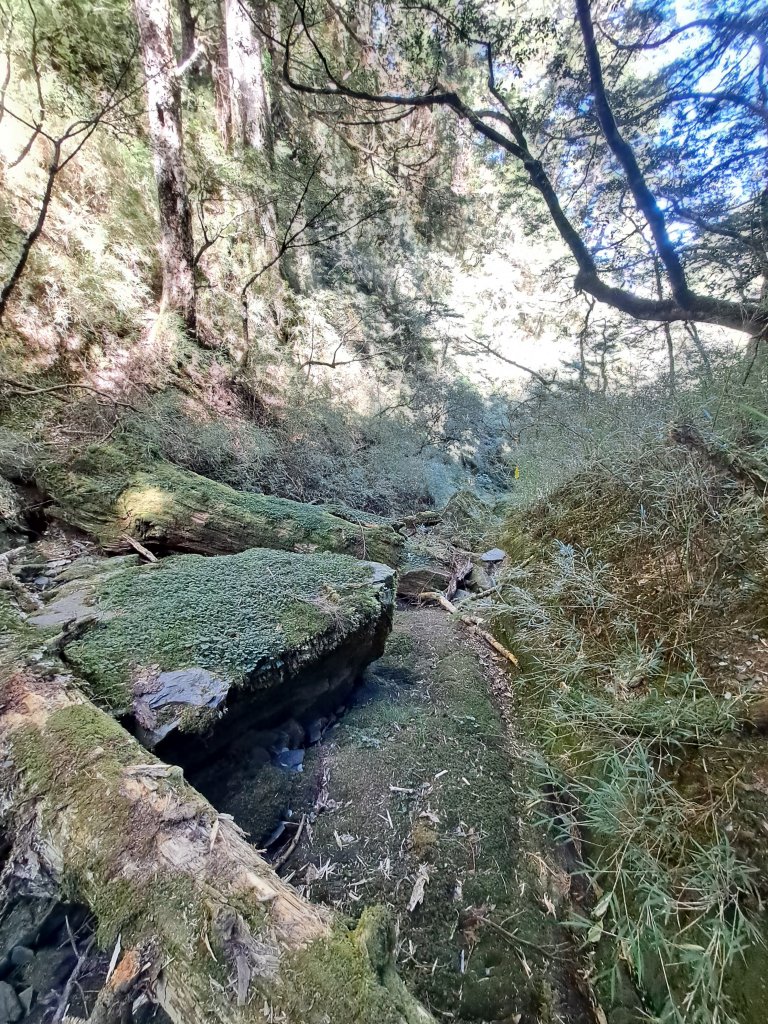 畢祿下南稜O型(2022.08.22)_1901490