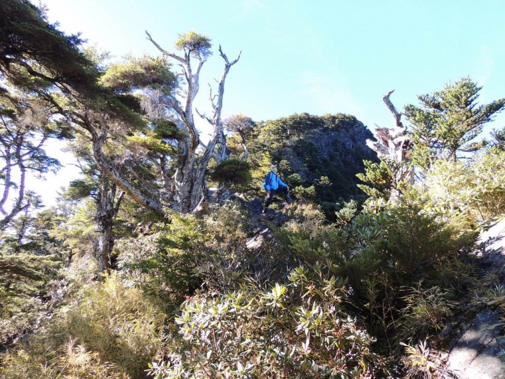 2019 1121 - 24 大小劍山_753647