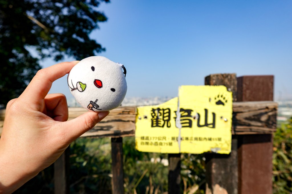 觀音山｜大社觀音山小百岳_3002719
