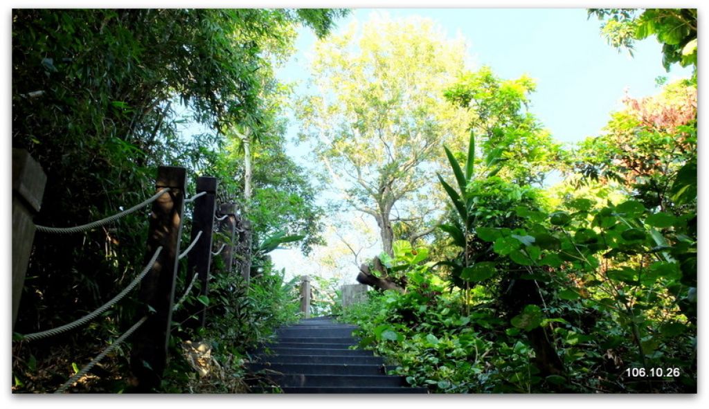 台中 潭子聚興山新田登山步道_212689