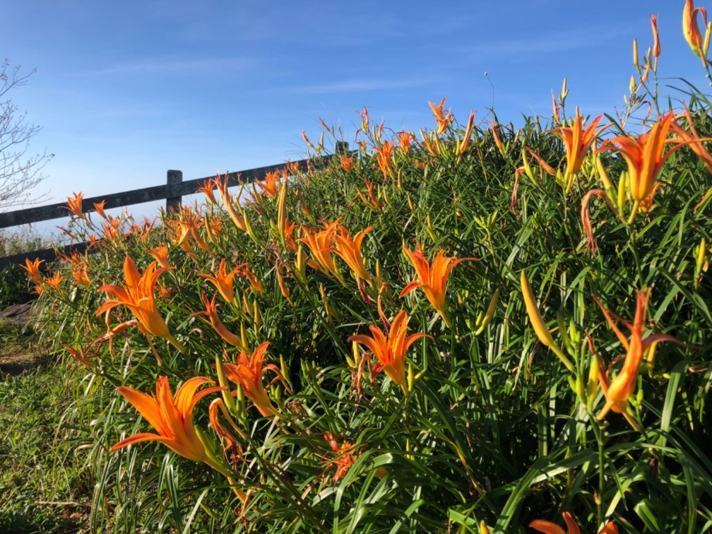 台東市利家3-1016、台東市卑南社3-4222、台東縣太麻里鄉小百岳NO.94太麻里山一等三角點_2246801