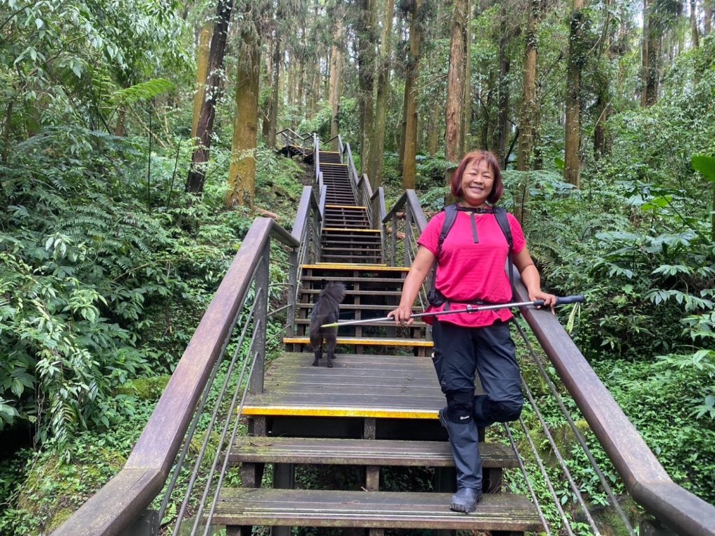 奮起湖環狀步道、麻竹湖步道_2638101