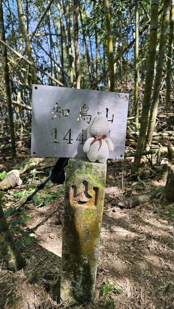 【四大天王山O型縱走未竟之旅：封山中的靜謐與省思】解鎖嘉義竹崎四大天王山、知鳥山。_2929898