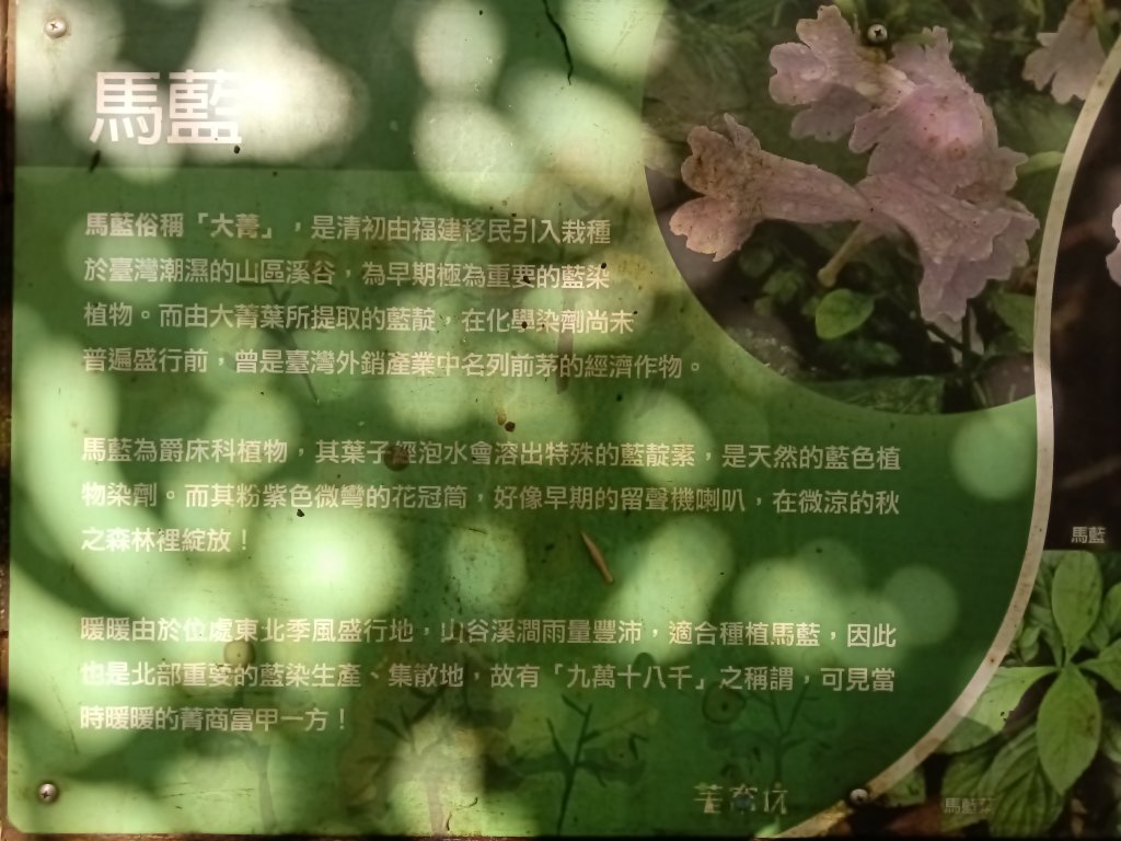 基隆市荖寮坑古道+十分古道(暖東舊道)+頂子寮山(嶺頭土地公)P字走_2821501