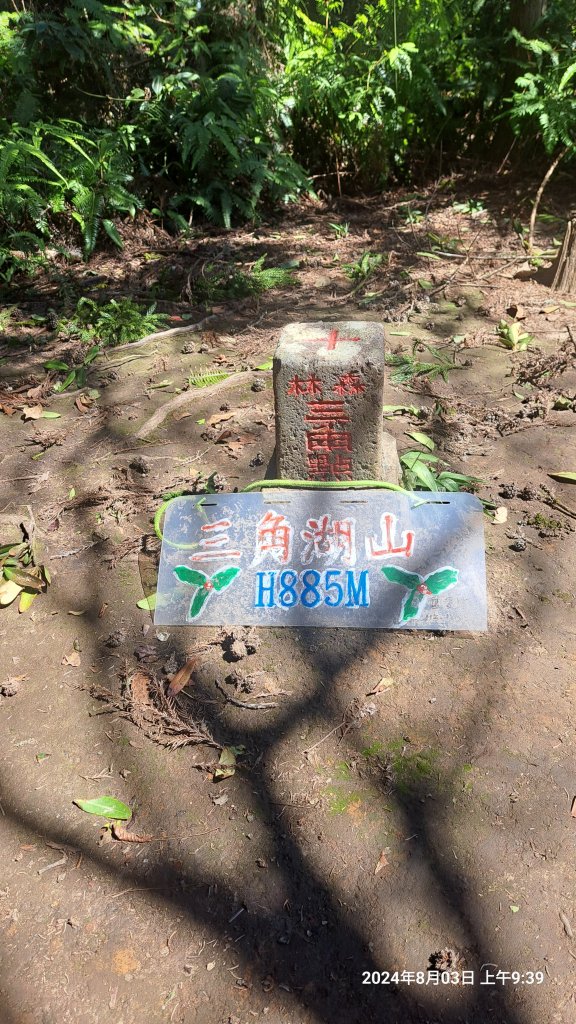 2024.8.3  (苗栗南庄)三角湖山+向天湖山_2573936