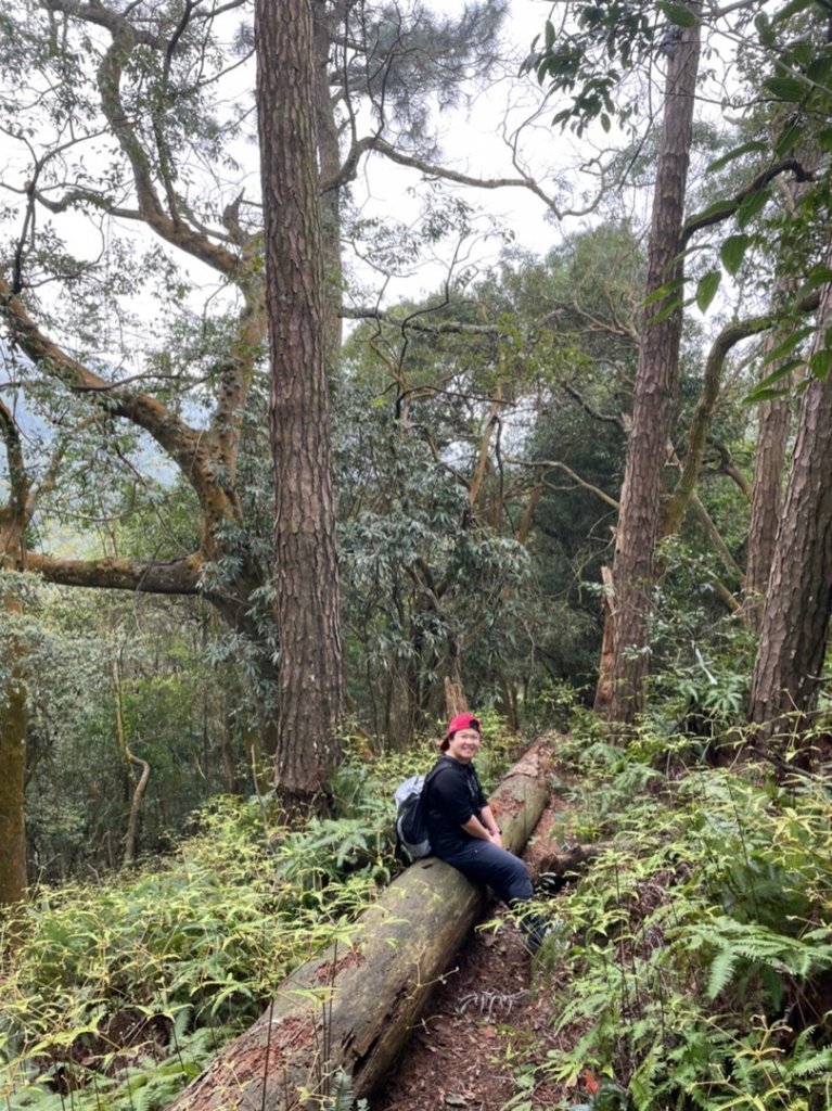 面鐵（桃園金山面山-打鐵寮）縱走_1619648