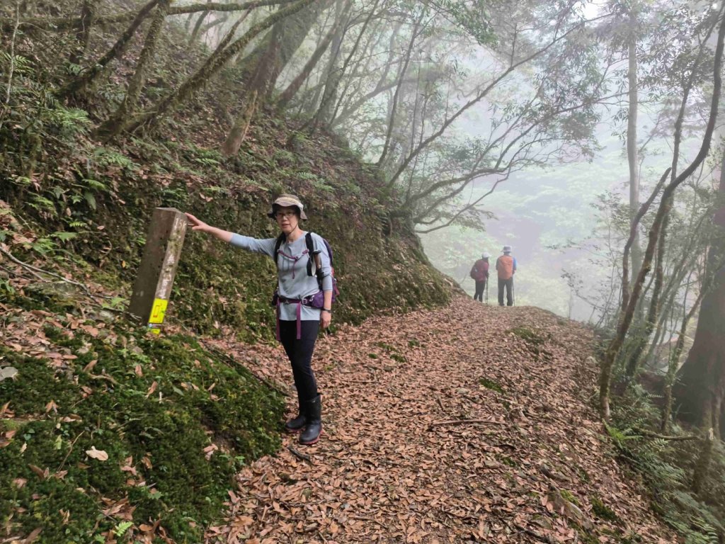 1130511夫拉縱走_2500130