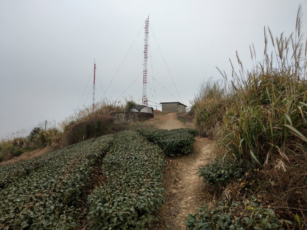 梨子腳山(小百岳#57) & 太平雲梯 (2021/1/29)_1423195