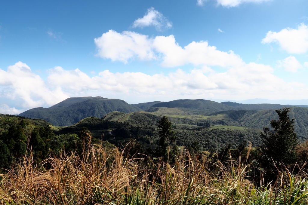 七星山主東峰走春_95401
