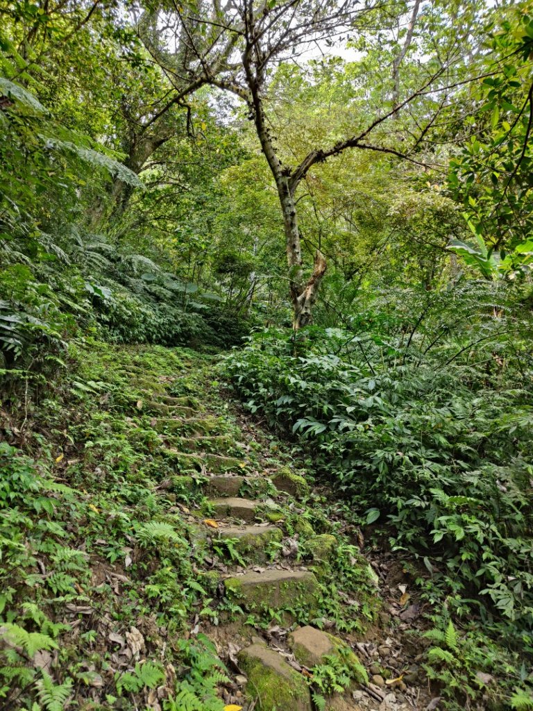 2023.04.13 大艽芎古道登溪洲山_2111579