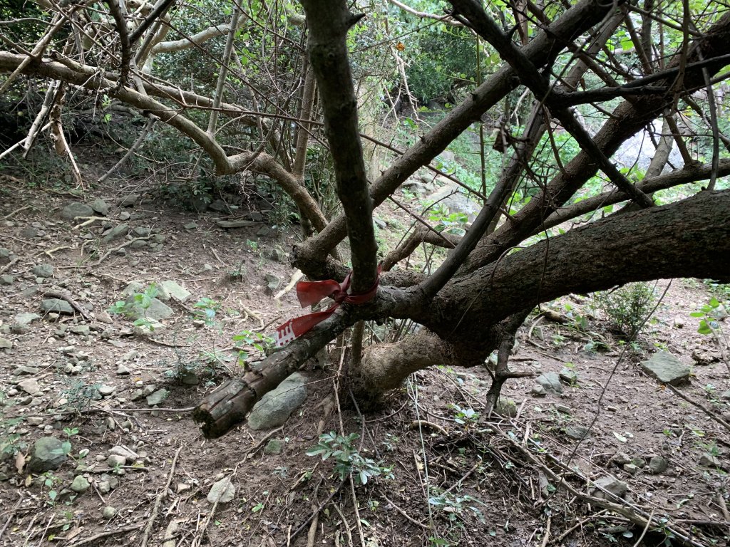 20240917屏東大圓山_2599366