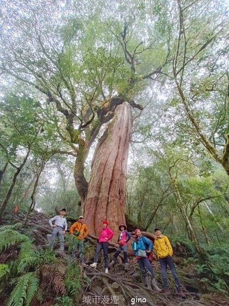 【宜蘭大同】走入魔法森林之仙女散落的珍珠。 太加縱走 (夢幻美的加羅湖)_2469313