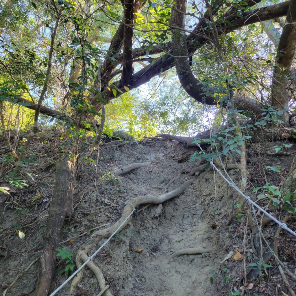 鈺鼎步道~糖子恩山_1576574