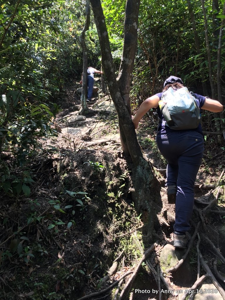 新山夢湖登山步道一探究竟_943231