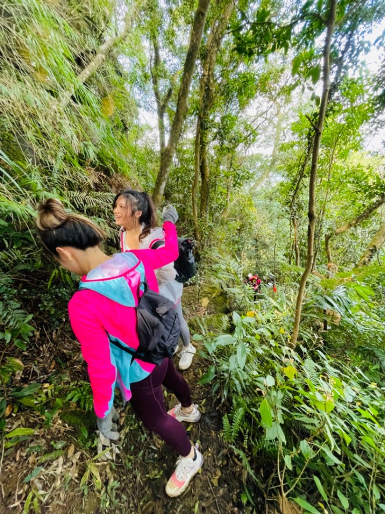 面鐵（桃園金山面山-打鐵寮）縱走_1619670