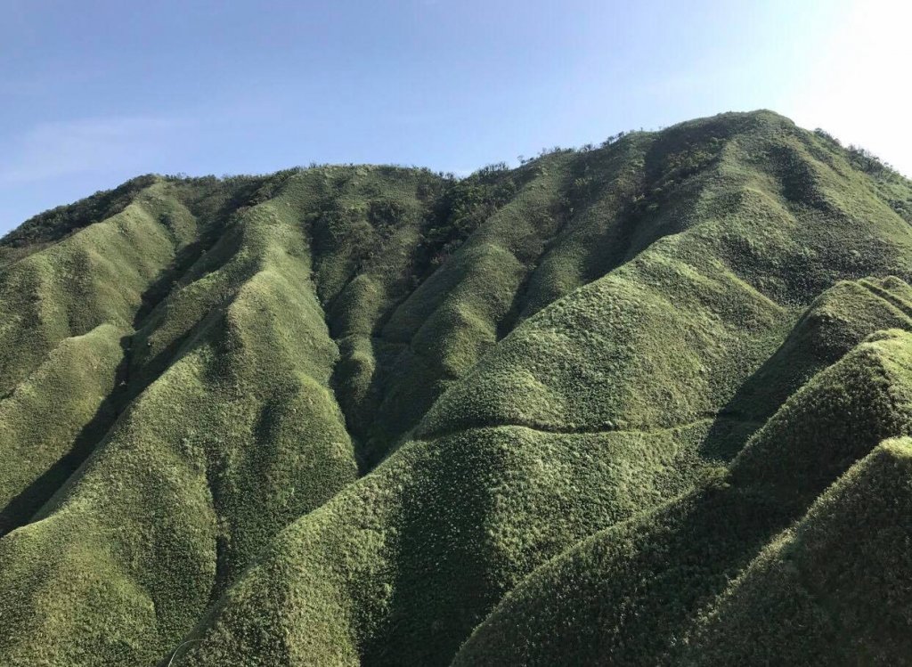 2019宜蘭聖母山莊 美極了_631709