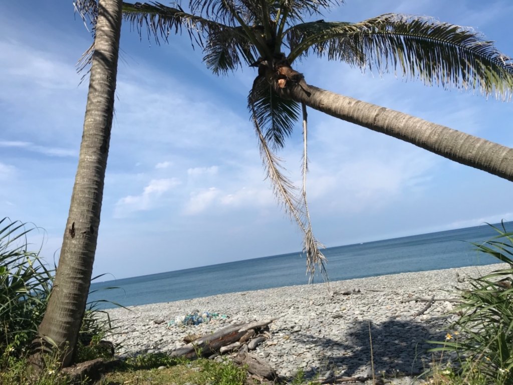 阿朗壹古道之美_637639