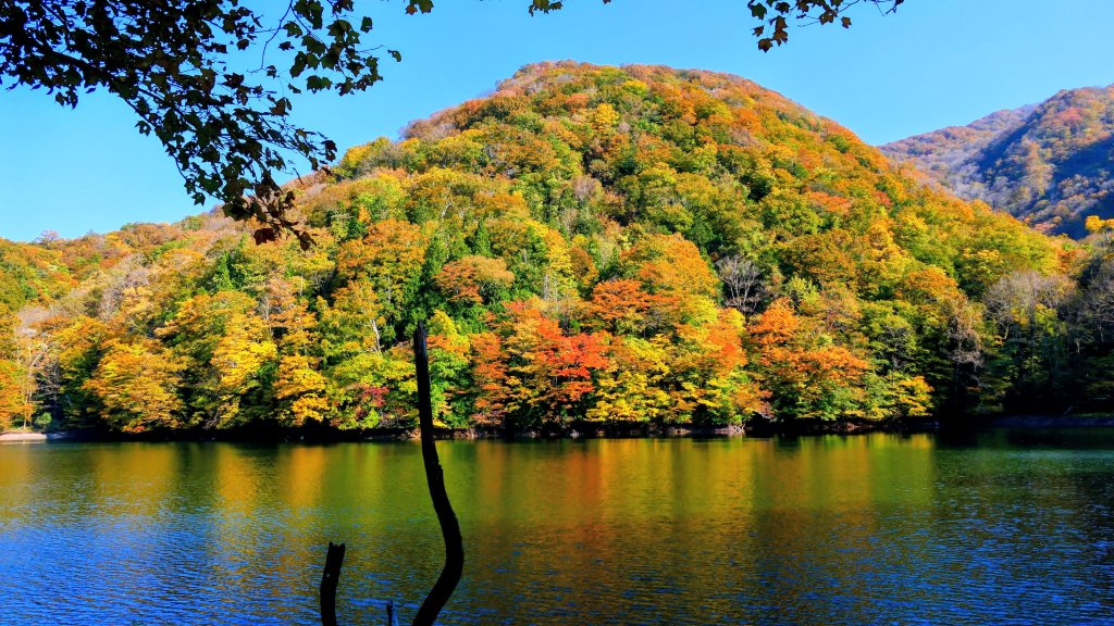 秋田縣白神山地十二湖封面圖