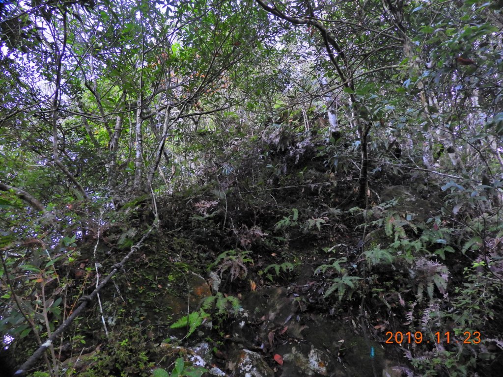 桃園 復興 待矢負山_746152