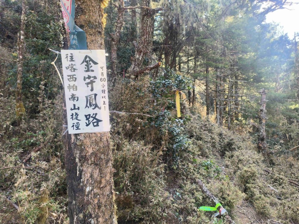 20240322 馬博8天縱走~第七天，馬西山，喀西帕南山_2471454