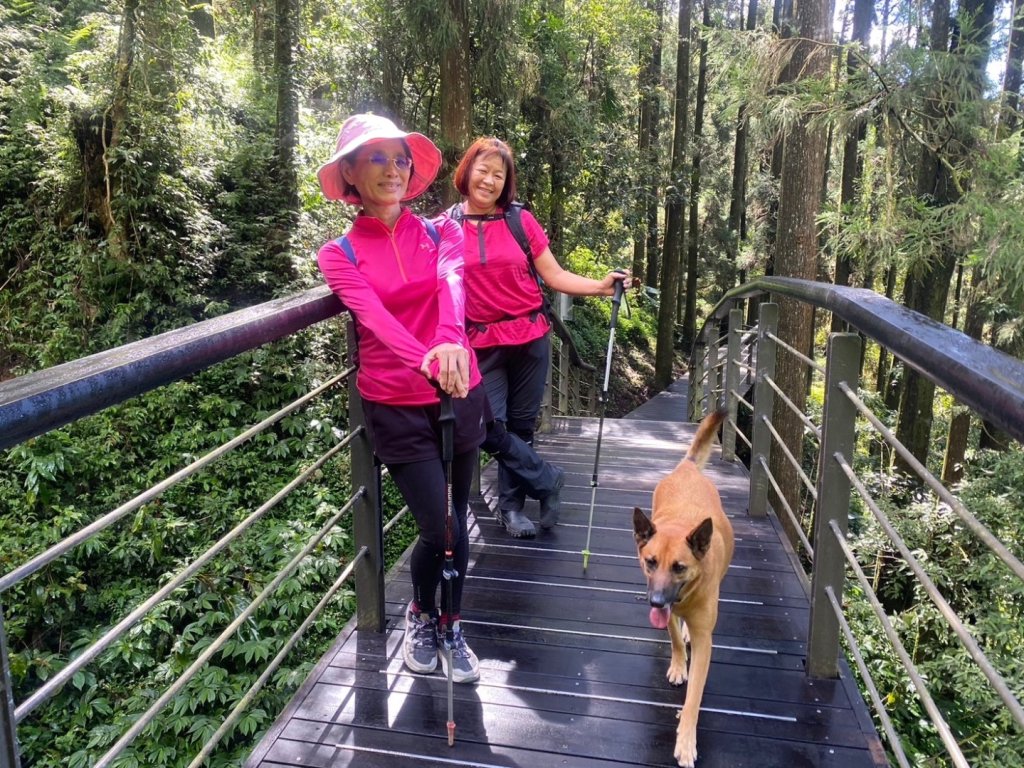奮起湖環狀步道、麻竹湖步道_2638115