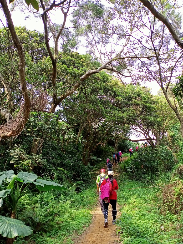 從新（心）出發遊蘆竹 - 横坑山、大古山_1317839