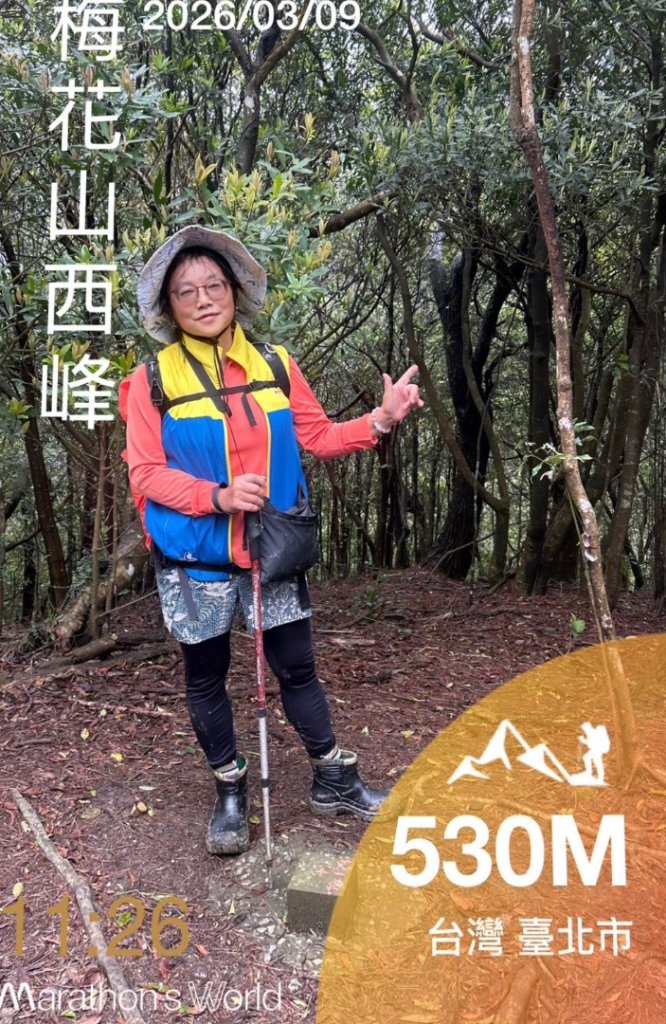 台北縱走第四段訪雙溪山 梅花山與西峰南峰西南峰 碧山_3012828